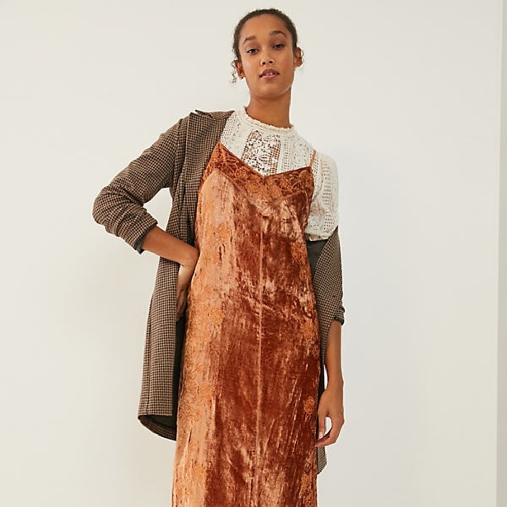 Anthropologie NWOT Lucie Embroidered Velvet Slip Dress